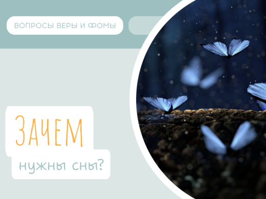 Иллюстрация к выпуску «Зачем нужны сны?»