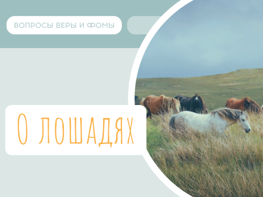 Иллюстрация к выпуску «О лошадях»