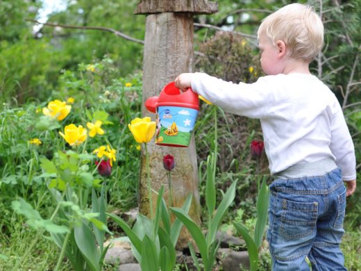 Малыш поливает цветы