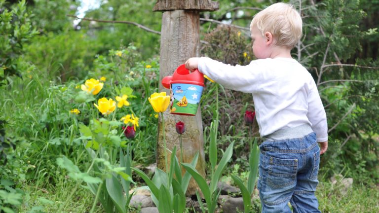 Малыш поливает цветы