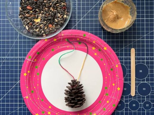 Поделка из шишки